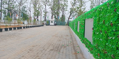 Roots Courtyard 2 - Construction Update - june 2025